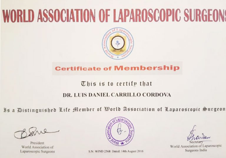 World association of laparoscopic surgeons